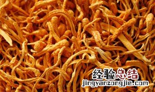 虫草花忌与什么同食用 虫草花忌与什么同食