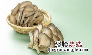 平菇热量 平菇热量的介绍