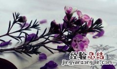 什么叫摩擦因数 摩擦因数解释