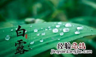 白露的含义是什么意思 寒露的含义是什么意思