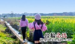 姊的拼音 姊的拼音是什么