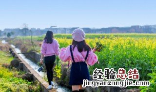 姊的拼音 姊的拼音是什么