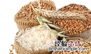 最适合减肥吃的13种主食 照着吃立刻就能瘦下来
