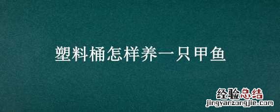 塑料桶怎样养一只甲鱼 塑料桶怎样养一只甲鱼视频