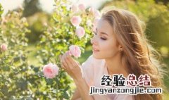 怎样描写春天的花 怎样描写春天