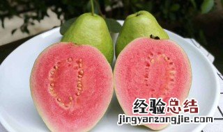 怎么判断芭乐的生熟 芭乐怎么辨别生熟