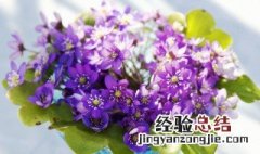 家里花瓶碎了有什么预兆嘛 家里花瓶碎了有什么预兆