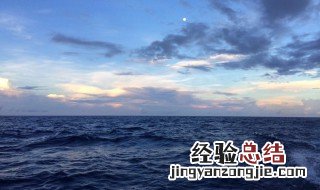 海洋生物最丰富的大洋是哪里 海洋生物最丰富的大洋