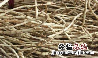 海南鱼腥草的功效与作用 鱼腥草海草