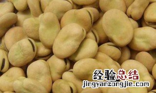 蚕豆的热量 蚕豆的热量分析