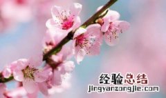 春天有哪五个特点 春天有哪五个特点词语