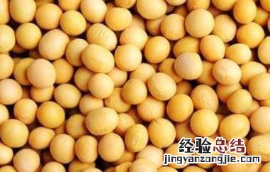 黄大豆的功效与作用及食用方法 黄大豆的功效与作用