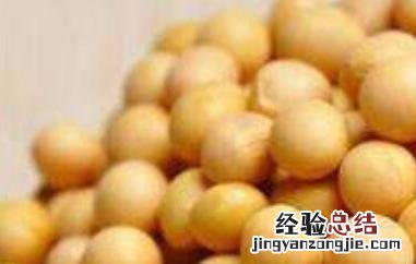 黄大豆的功效与作用及食用方法 黄大豆的功效与作用