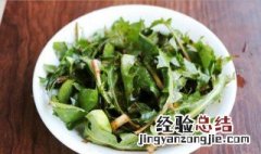 凉拌蒲公英怎么做不苦 凉拌蒲公英怎么做
