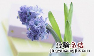 三点水加翟读什么 姓 三点水加翟读什么