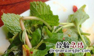 凉拌薄荷叶的做法大全图解 凉拌薄荷叶的做法大全