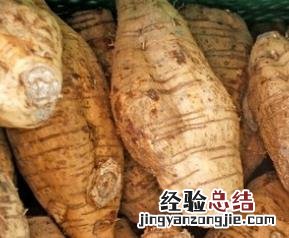 粉葛是什么 粉葛是什么性