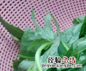 烀地瓜怎么做好吃窍门 地瓜蔓怎么做好吃