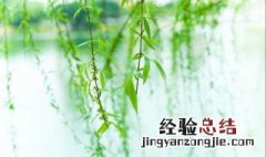 寒食节是什么样的风俗 寒食节是什么样的