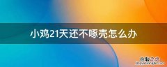 小鸡孵21天不叫不啄壳 小鸡21天还不啄壳怎么办
