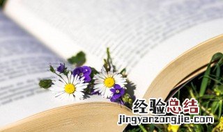 琐碎什么意思 琐碎解释
