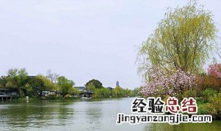 关于春天的谚语 春天代表着什么