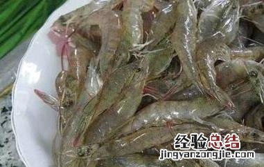 海虾和河虾有哪些区别图 海虾和河虾有哪些区别
