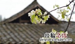 清明节是哪个季节的节日 清明节是什么季节的节日