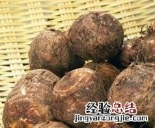 毛芋头的功效与作用禁忌 毛芋头的功效与作用