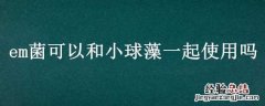 em菌可以抑制绿藻么 em菌可以和小球藻一起使用吗