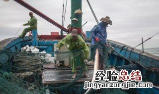 捕的拼音 捕的拼音是什么