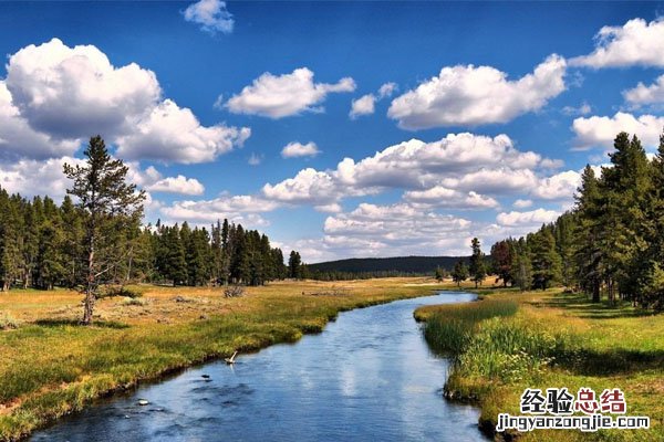 地球之肾是什么生态系统 地球之肺是什么生态系统