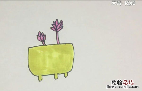 多肉的简笔画 多肉的简笔画视频
