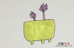 多肉的简笔画 多肉的简笔画视频