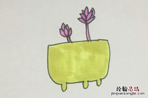 多肉的简笔画 多肉的简笔画视频