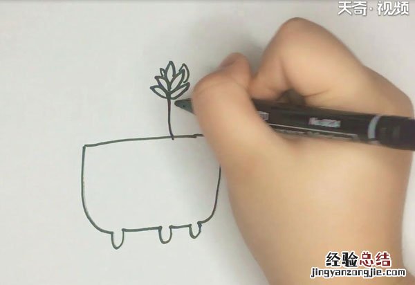 多肉的简笔画 多肉的简笔画视频