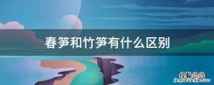 春笋和竹笋有什么区别 春笋和竹笋有啥区别