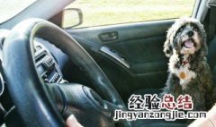 考驾驶证流程 详细的流程介绍建议收藏