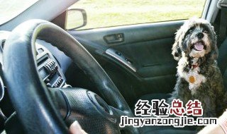 考驾驶证流程 详细的流程介绍建议收藏