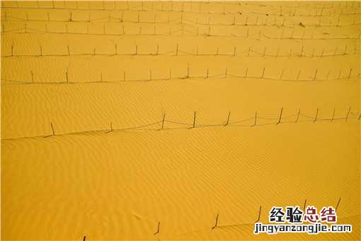 防护林是什么意思 防护林的概念