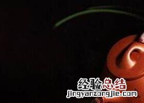 乌龙茶紫砂壶冲泡发的步骤 乌龙茶紫砂壶冲泡发的步骤图片