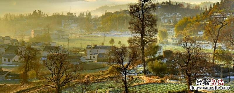 乡村振兴内容，乡村振兴战略的总要求