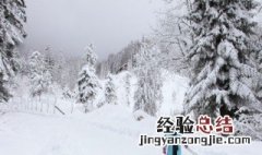 关于雪地的句子 描写雪地的句子