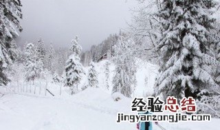 关于雪地的句子 描写雪地的句子