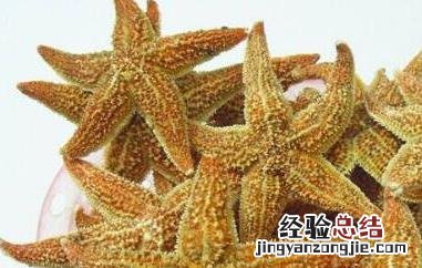 干海星泡酒的方法 干海星泡酒步骤