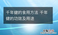 千年健的食用方法 千年健的功效及用途