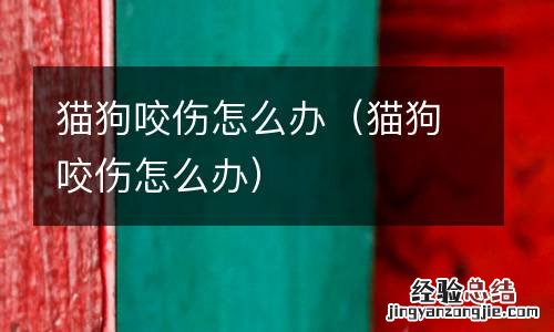 猫狗咬伤怎么办 猫狗咬伤怎么办