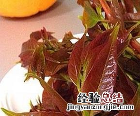 香椿的营养价值与功效 香椿的营养价值及功效