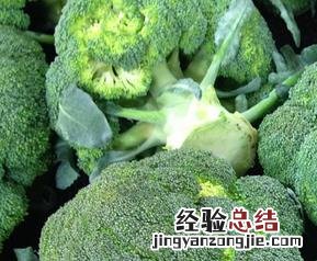吃西兰花的好处有哪些 常吃西兰花的好处