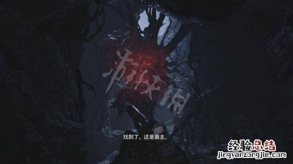生化危机8菌主来历是什么 生化危机8的菌主是什么